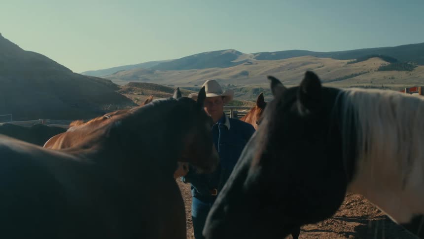 A man is standing on his farm with horses
