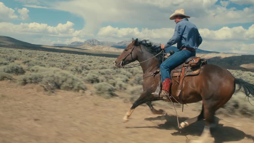 Horseback rider galloping across a field in the country