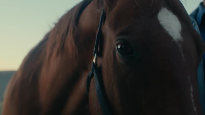 Two people are outdoors standing near their horse