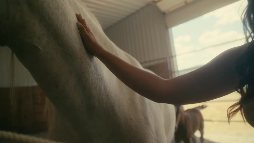 A woman is petting a horse during the spring