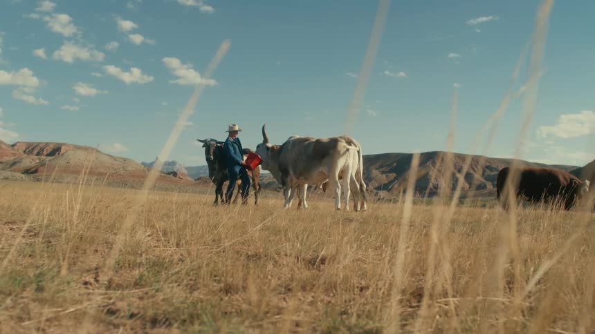 A young white man is outdoors with some cattle at his ranch
