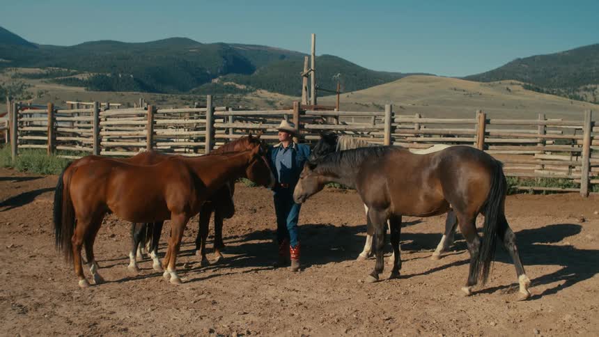 Man stands among small herd of horses with misty hills in the background