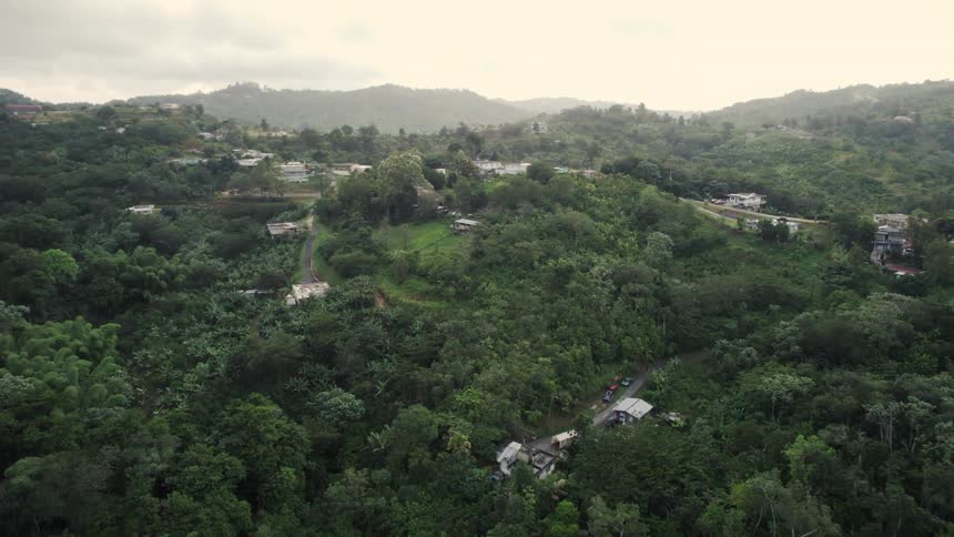An aerial view of a forest in a rural area with house and vehicles behind it
