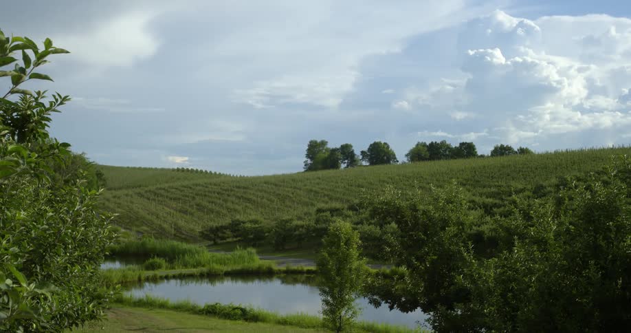 Grassland fields during the spring is displayed