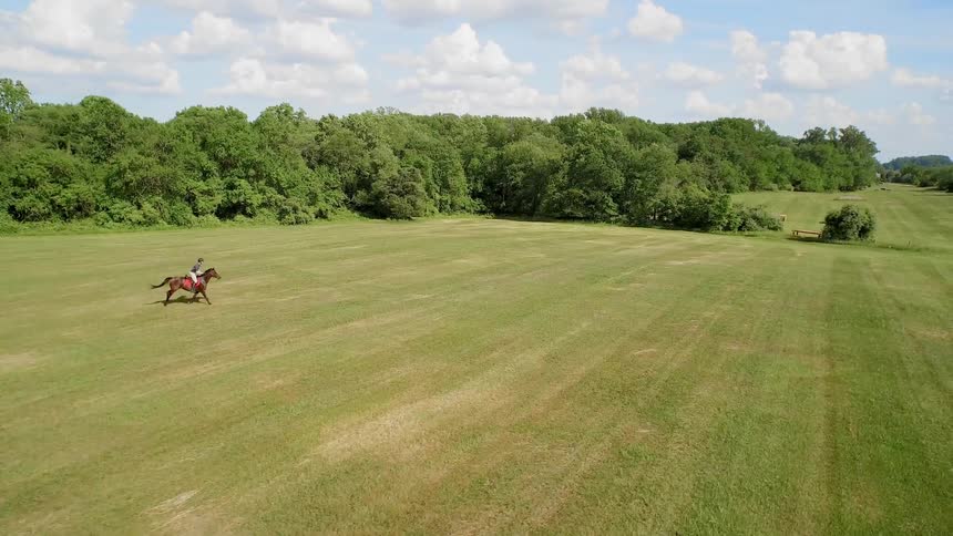 A horse and rider cross an open field
