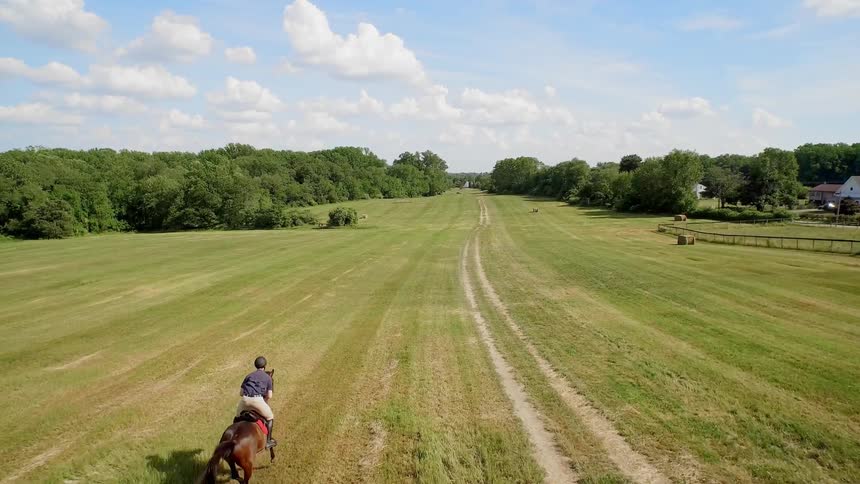 A horse and rider ride in the grass beside dirt road
