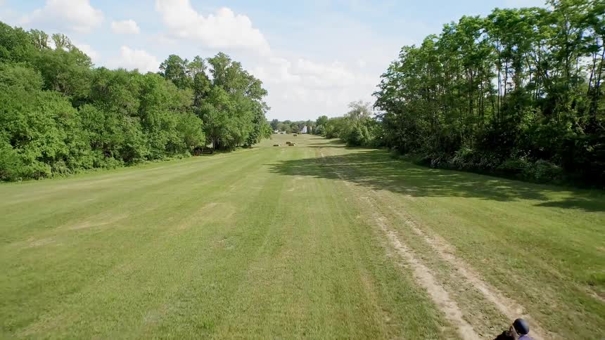 A person is racing a horse down a long field