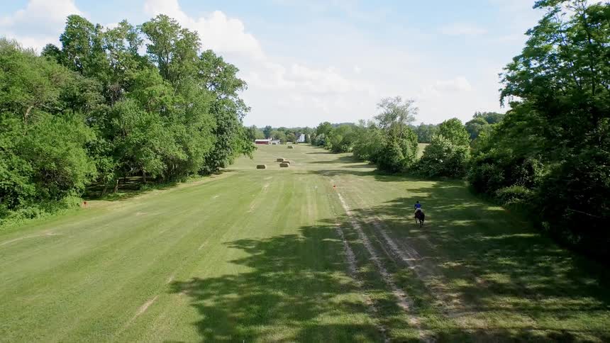 A horse and rider run across the grass towards buildings