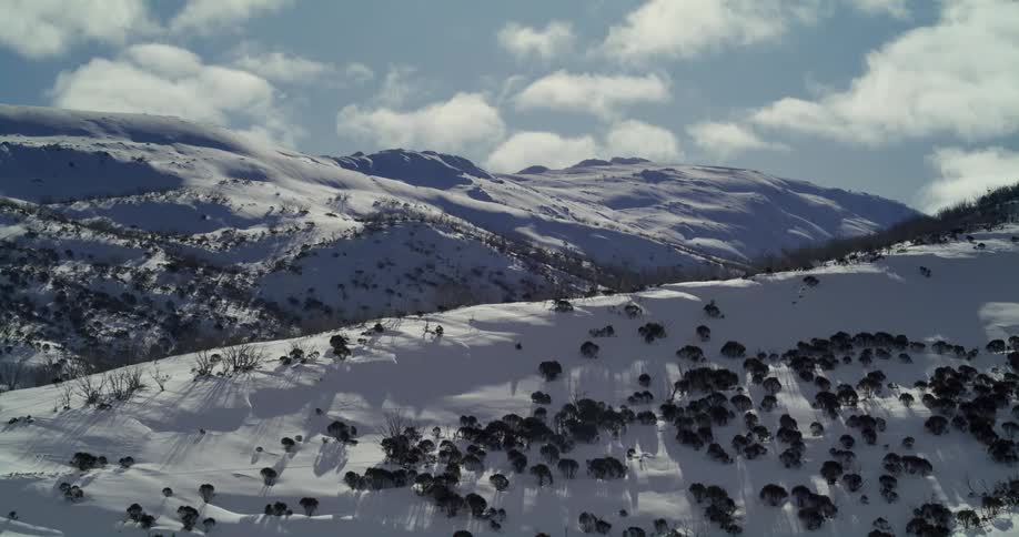 Trees dot the side of a snow covered mountain