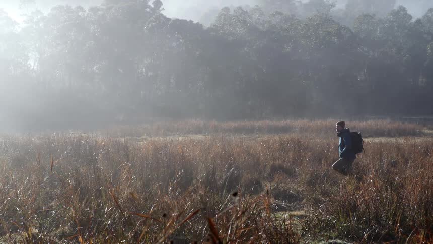 A young man is walking outdoors in a field of grass