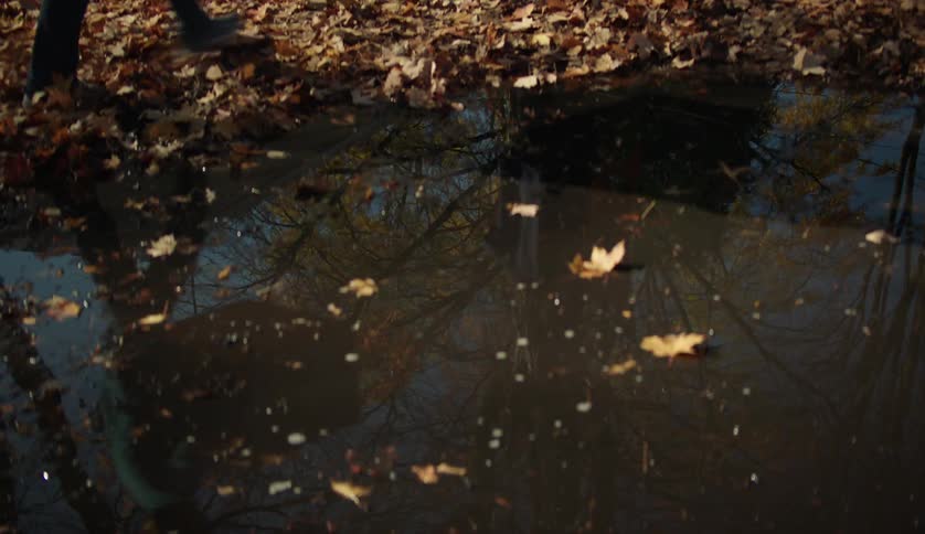 Two people are walking outdoors during autumn