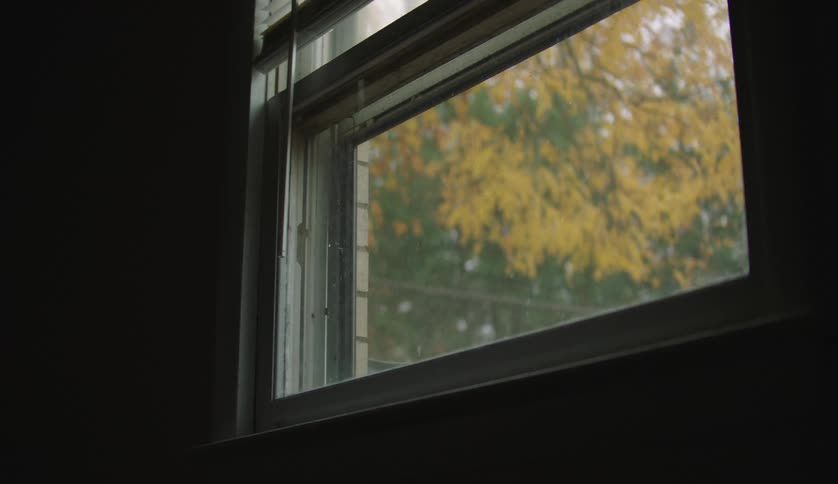 The view is of some ones house and you can see trees outside the window