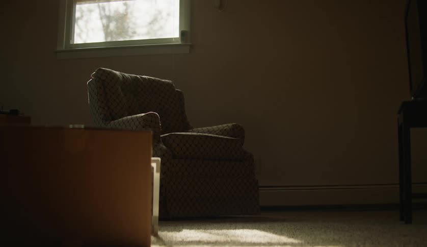 A living room is displayed with a chair