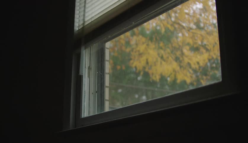 Window blinds being lifted in a dark room to fall leaves outside