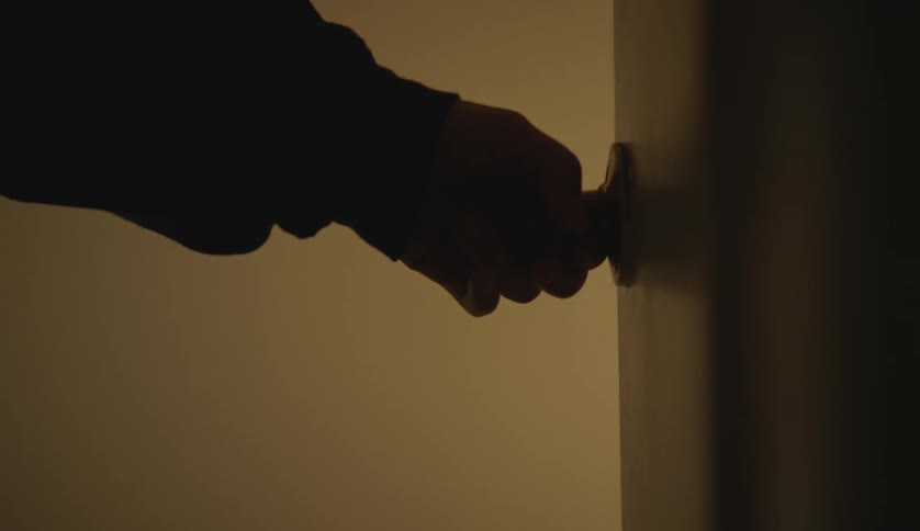 A person is opening a door in their house