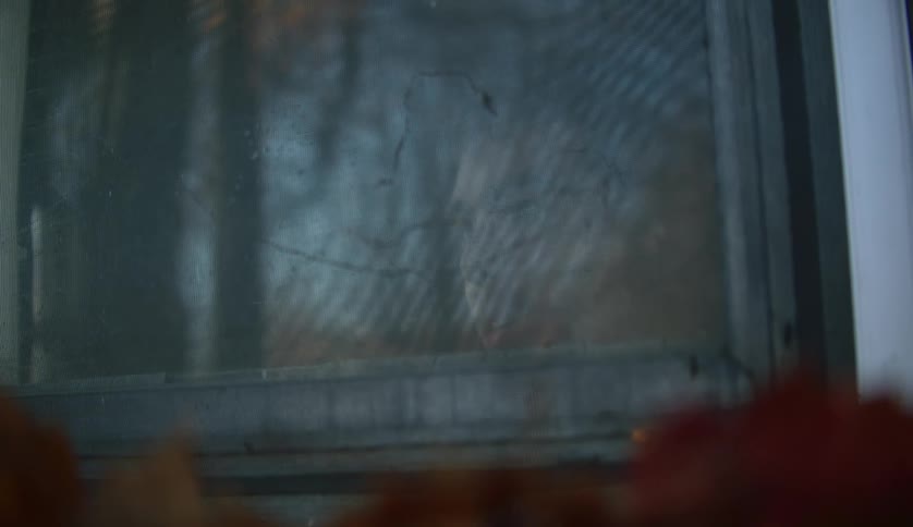 Young man peeks out the window of a house at morning