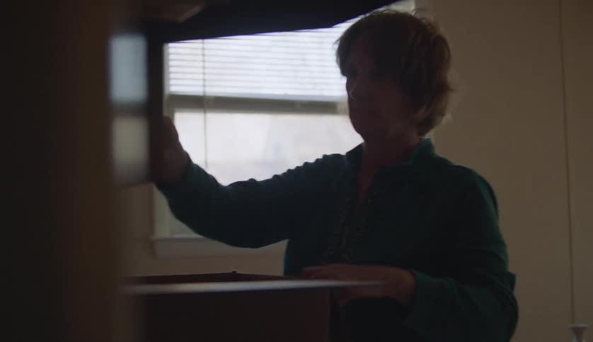 A woman is unpacking a box into the cupboard