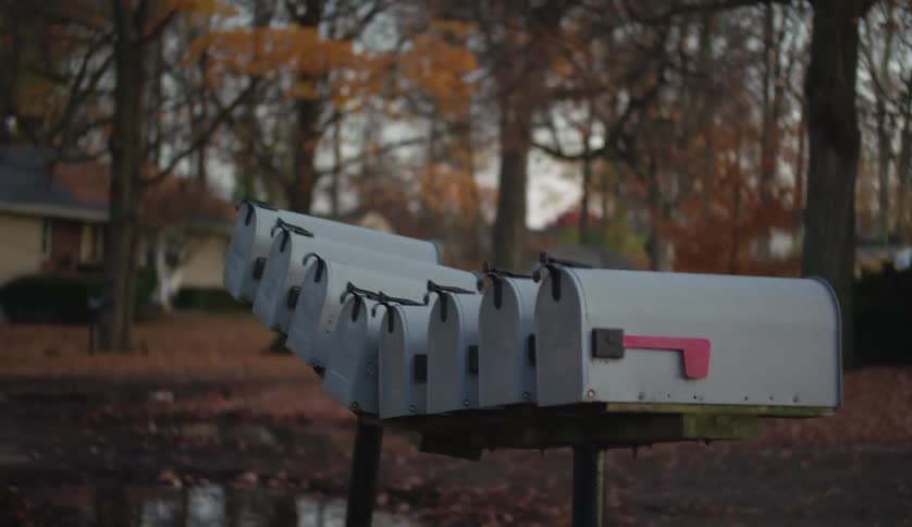 Rural mailboxes in the street near trees and brown leaves on the ground