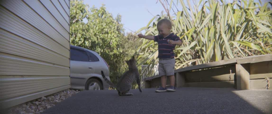 Tabby cat relaxing on the ground as a young toddler explores the yard behind.