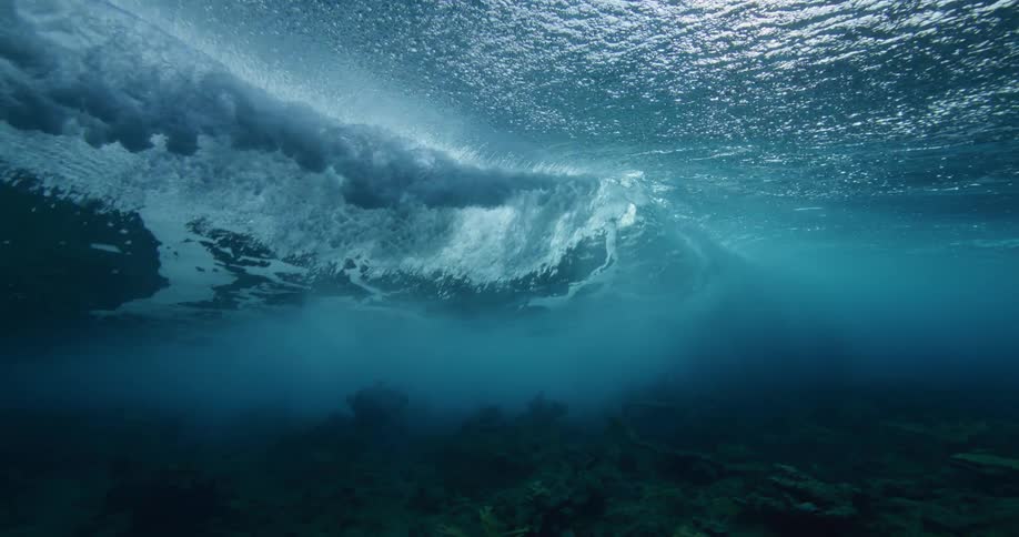 An ocean wave rolls above the vegetation on the sea floor during the day