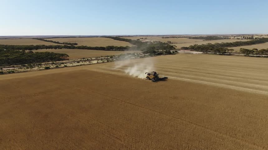 The tractor is collecting the crops
