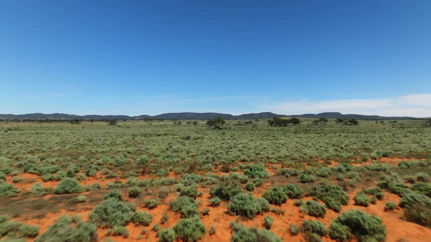 A camera pans over a terrain with lots of vegetation