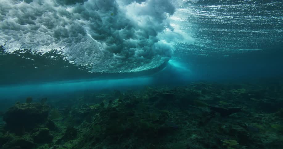 An ocean wave rolls above the sea floor during the day