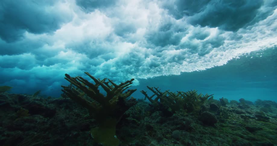 Bottom of the ocean with coral and waves rolling on top
