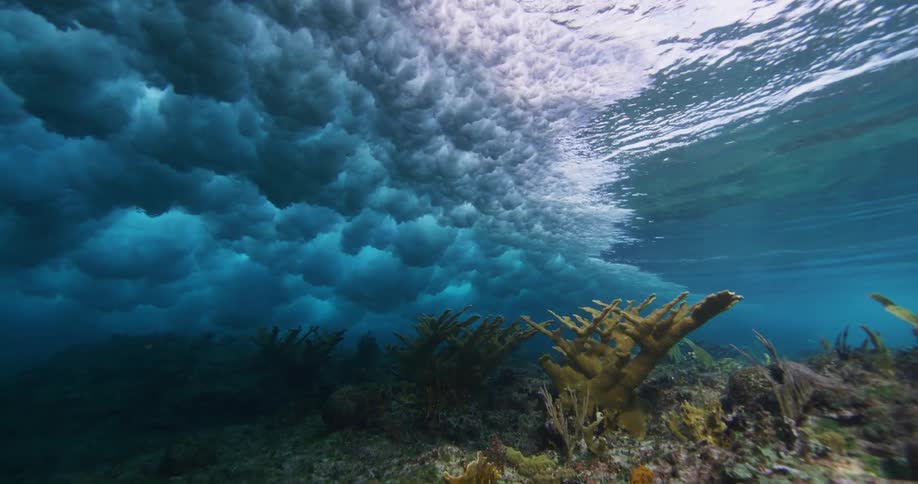 Water ripples and moves as a wave moves over the surface with life on the seabed