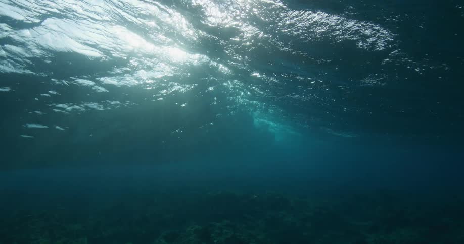Water ripples and sparkles as sunlight shines on a wave moving over the seabed