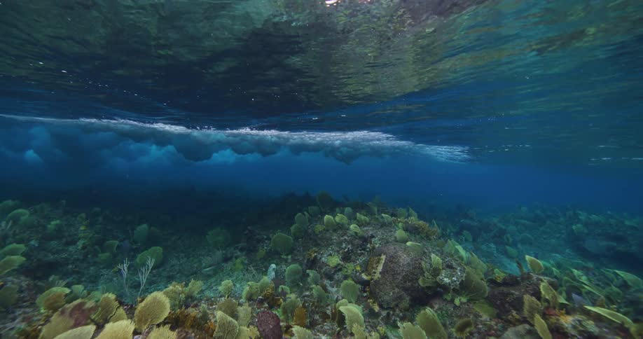 Underside of surface reflects seafloor until crashing wave turns area murky