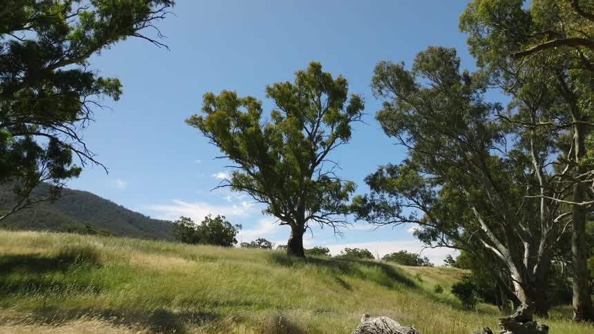 A wide landscape during spring is displayed