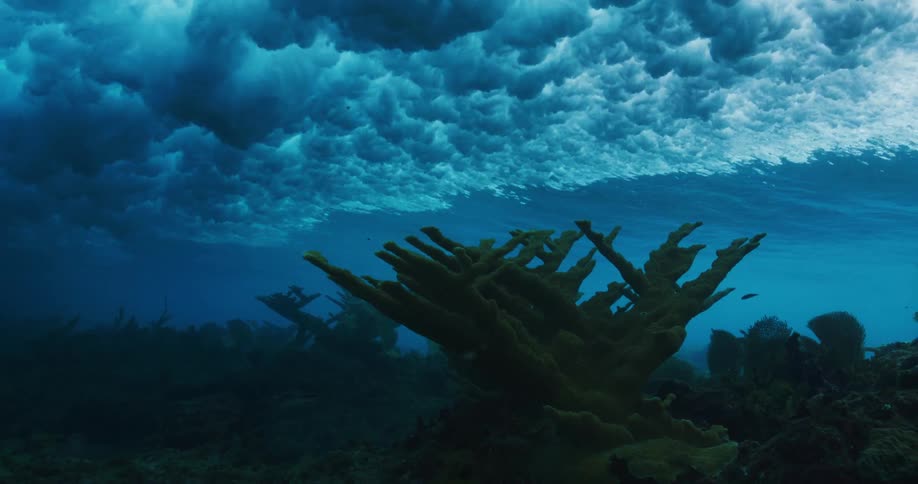 Underwater footage of waves rolling over coral reefs in the tropics