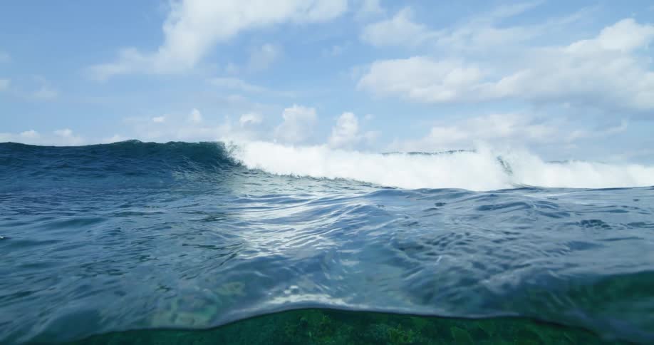 Water ripples and moves as a wave moves over the surface and plants are growing on the seabed underwater