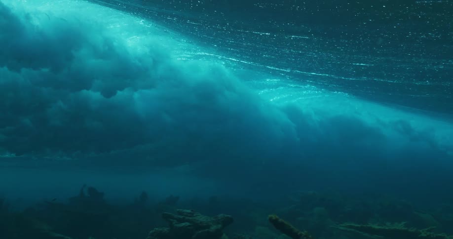 Water ripples and moves as a wave moves over the surface and plants are growing on the seabed as fish swim
