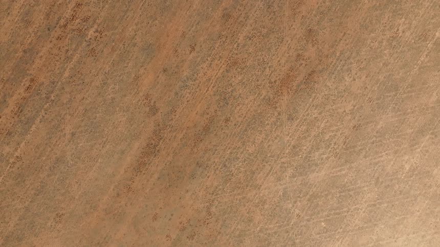Lines move diagonal and parallel to grain on wooden surface