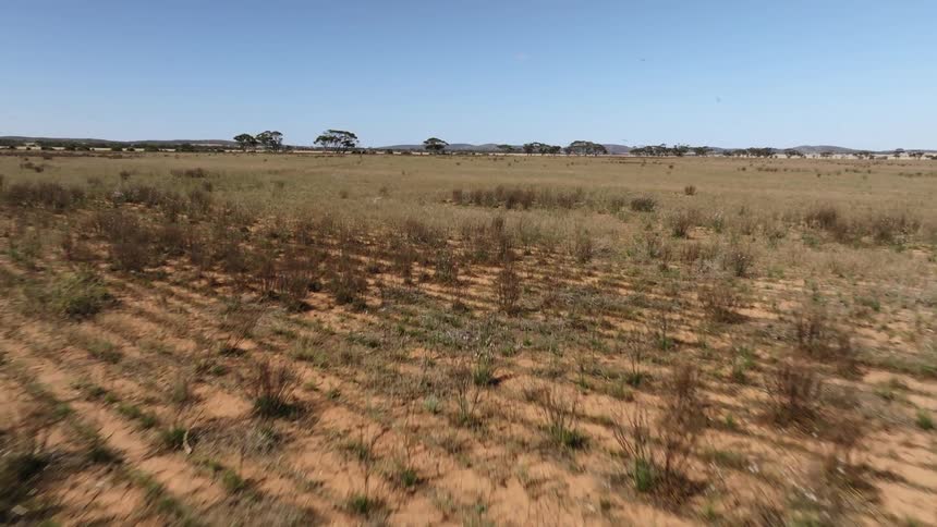 Aerial view of barren field with multiple trees on the horizon