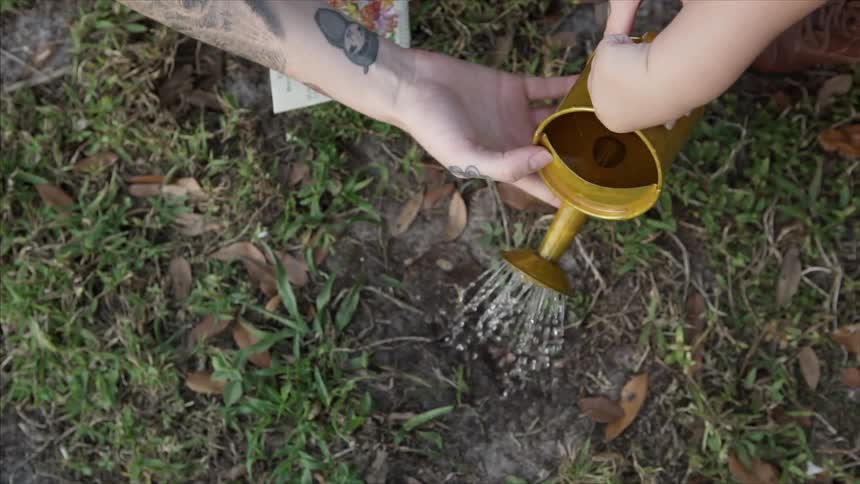 A woman and small child watering a patch of ground with a watering can
