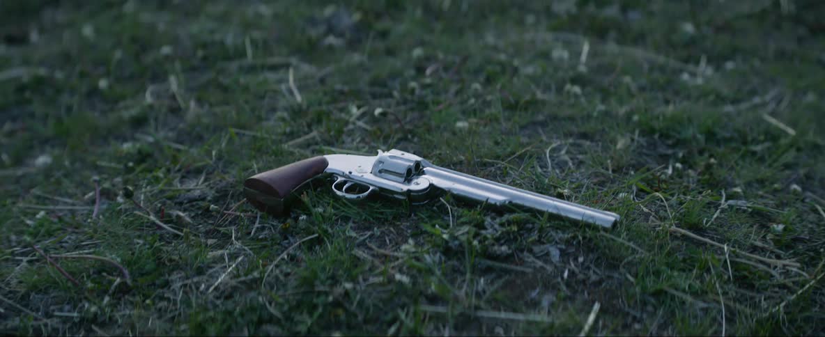 A revolver falls into the grass outdoors during the day