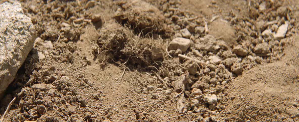 Close up of dirt and pebbles on the ground shaking and trembling