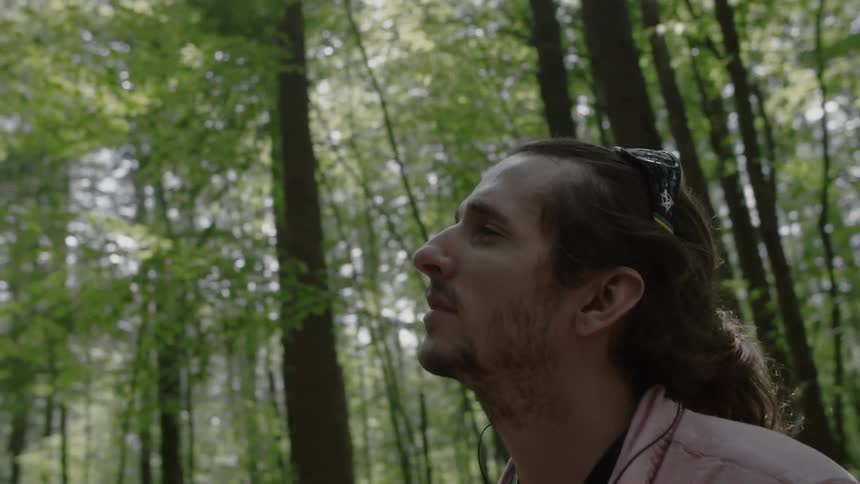 Man walks in the woods on a sunny day