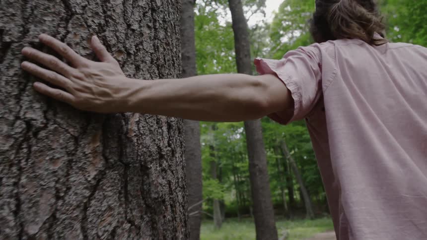A man walks past a tree touching it