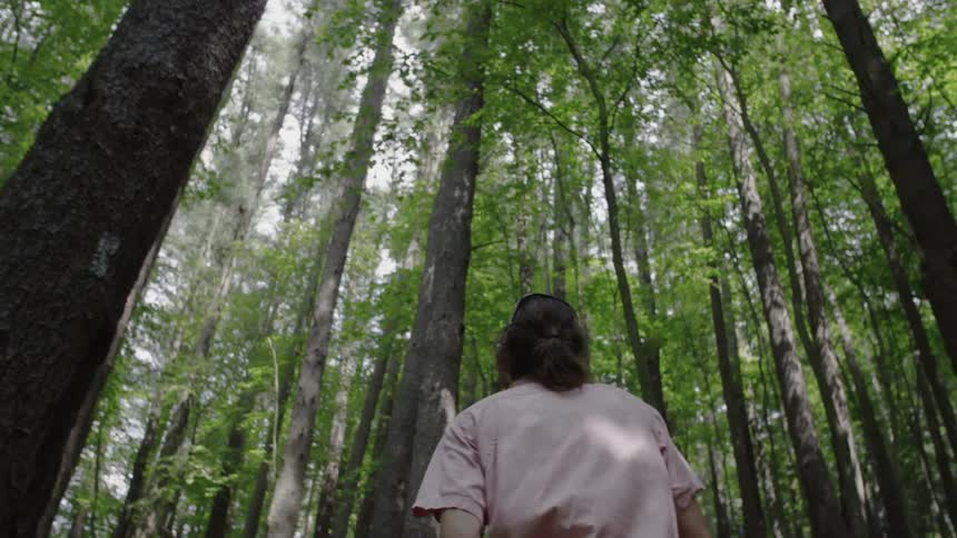 A person is walking through the woods