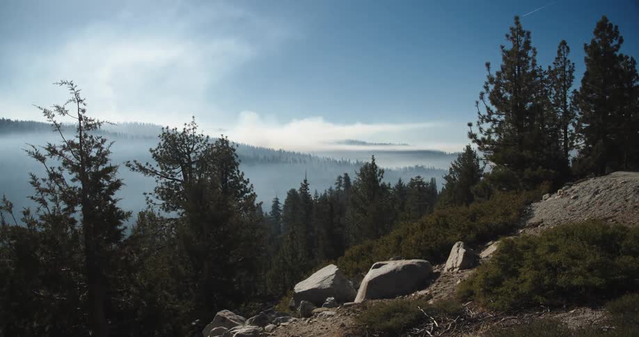 Fog covers conifer filled valley on cloudy day