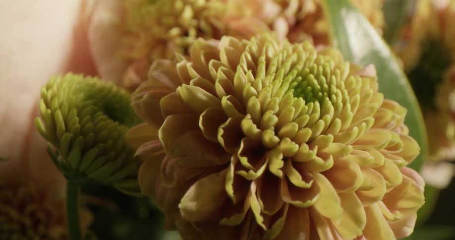 Yellow flowers are on display