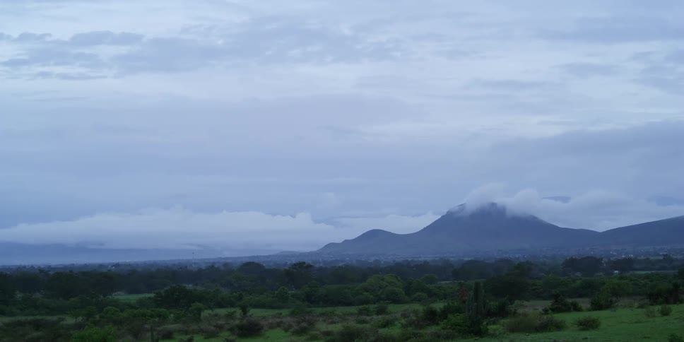 Trees dot the landscape along a field below a mountain range