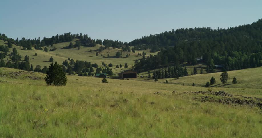 A grassland area is displayed during the spring