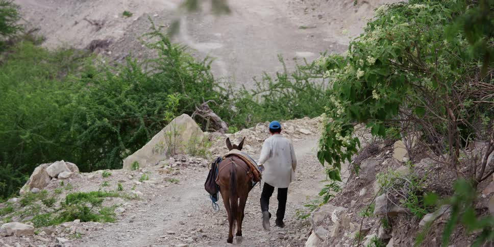 A man leads a donkey down a dirt road on the side of a mountain during the day