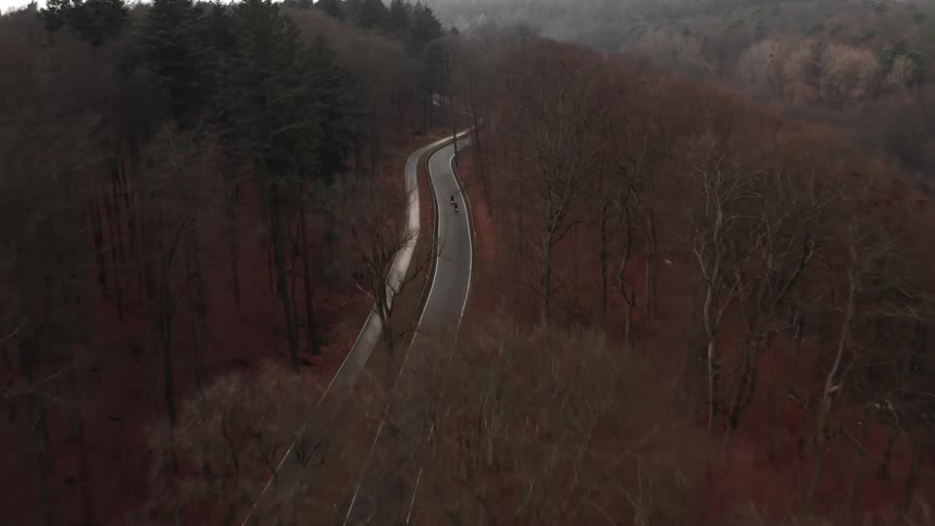 Aerial view of motorcycles riding on a road through a forest at fall