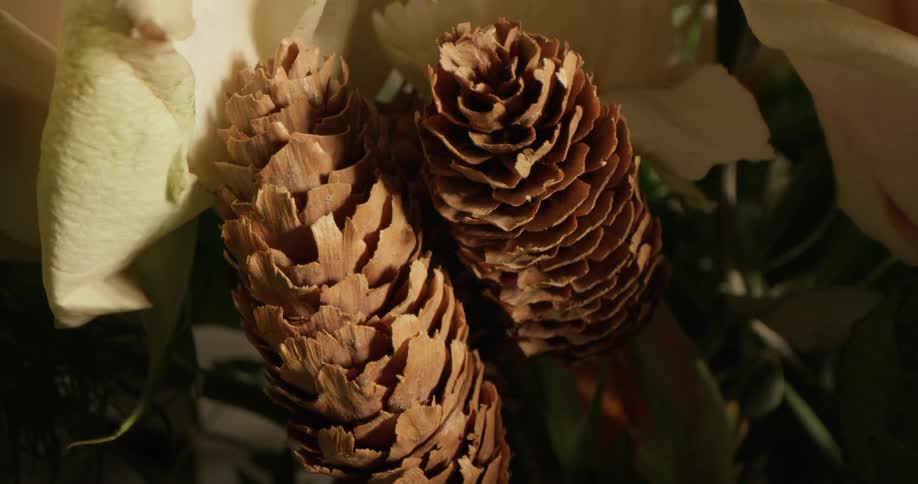 A light shines over a bouquet with pine cones